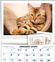 Custom Printed pocket wall calendars For Business advertising