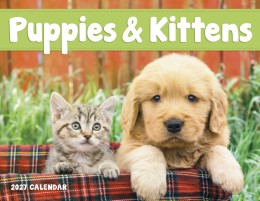 Puppies & Kittens Window Calendar With Cut-Out Print Area, Size 11x17 promotional calendar – Window Cutout Calendars – 2026