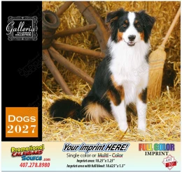 Dogs Men Best Friend Value Wall Calendar