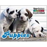 Puppies Promotional Calendar promotional calendar – Pets Calendars – 2026