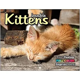 Kittens Promotional Mini Calendar promotional calendar – Mini Wall Calendars – 2027