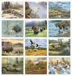 Promotional Wildlife Art Calendar 2026