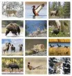 Promotional calendar 2026