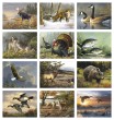Wildlife Art by the Hautman Brothers Promotional Calendar 2026