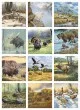 Wildlife Art Promotional Calendar 2026