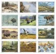 Wildlife Art Promotional Calendar 2027