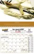 Jewish Heritage Promotional Calendar, open view of September