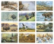 Wildlife Art Promotional Calendar 2026