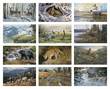 Wildlife Art Promotional Calendar 2026