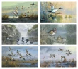 North American Waterfowl Executive Calendar # 3203 2026 monthly images