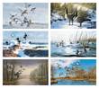 North American Waterfowl Executive Calendar # 3203 2026 monthly images
