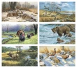 Wildlife Art Promotional Calendar 2026