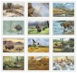 Wildlife Art Pocket Promotional Calendar 2026