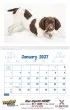 Puppies & Kittens Pocket Promotional Calendar