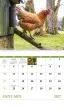 Promotional calendar 2026