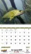 Promotional calendar 2027
