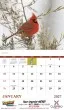 Birds of North America Promo Calendar, Item # 7236 open view image