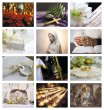Catholic Faith calendar item 7254 monthly images