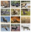 Promotional calendar 2026