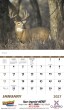 2026 Promotional Calendars