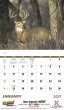 Promotional calendar 2026