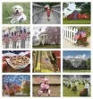 Promotional calendar 2026