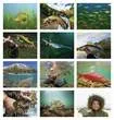 Fishing Promotional calendar 2027 months images
