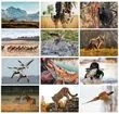 Sportsman Wall Calendar  - Spiral – Monthly Page – 2027