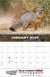 American Wildlife Promotional calendar 2026