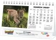 Promotional calendar 2026