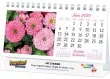 Promotional calendar 2026