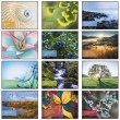 2026 Promotional calendar Inspirations, Spiral, Item BC-230 monthly images