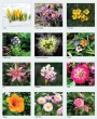 Blooming - Wonders - Botanical - Calendar - 2027 - Spiral - 12.5x21 Monthly images