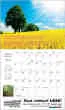 Divine Messages Religious Calendar -Mensajes Divinos  Bilingual Calendarl open view