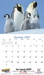 Promotional calendar 2026