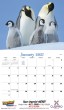2026 Promotional Calendars