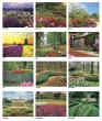 Promotional wall calendar