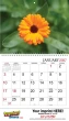 Promotional wall calendar