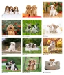 Promotional desk calendar