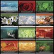 KC-CL Catholic Life Calendar Promotional calendar monthly images
