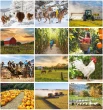 Country Spirit Calendar Stapled monthly images 