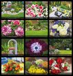Flowers and Gardens Calendar Stapled 2026
