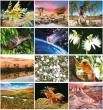 Planet  Earth Environmental Calendar monthly images 