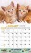Kittens Calendar open view