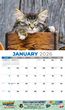 Kittens Calendar 2026