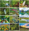 Go Green Environmental Calendar monthly images 