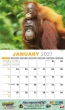 International Wildlife Calendar Stapled open view