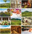 Vintages Wine and Vineyards Calendar monthly images 