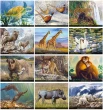Wildlife Portraits Art Calendar monthly images 
