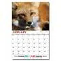 Custom Promotional Calendars